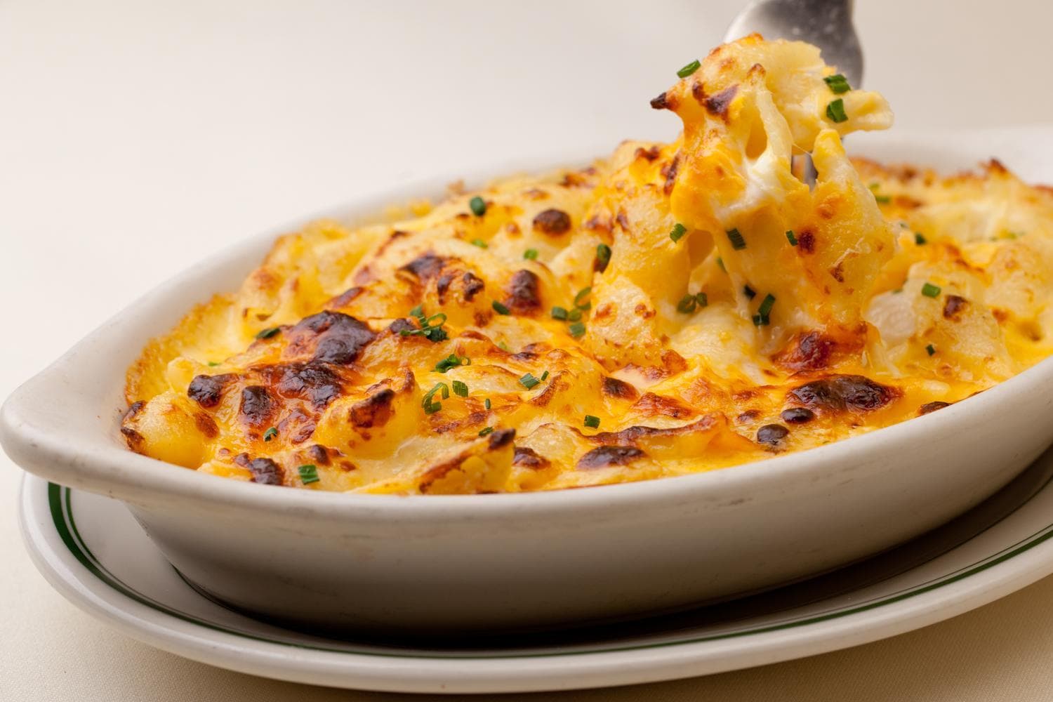 image of Four Cheese Mac & Cheese